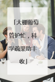 大棚葡萄管护忙，科学疏果助丰收