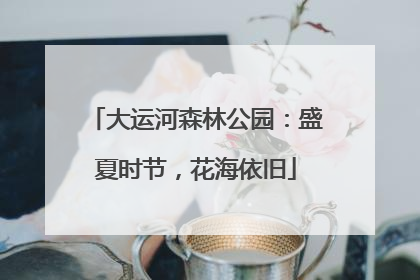大运河森林公园：盛夏时节，花海依旧