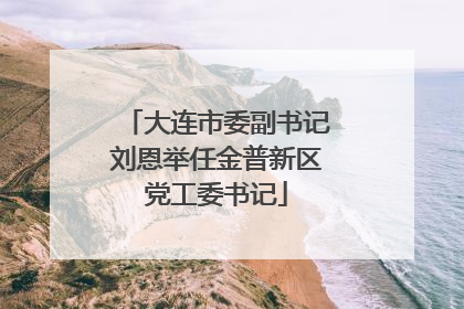 大连市委副书记刘恩举任金普新区党工委书记