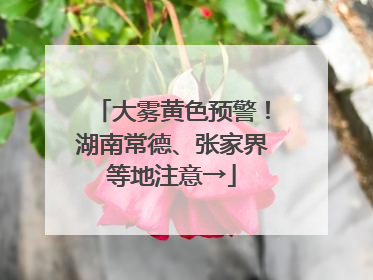 大雾黄色预警！湖南常德、张家界等地注意→
