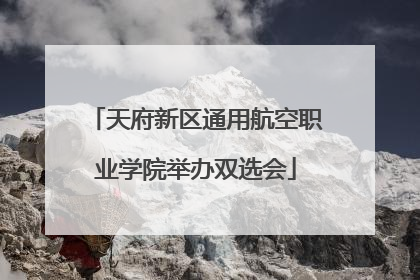 天府新区通用航空职业学院举办双选会