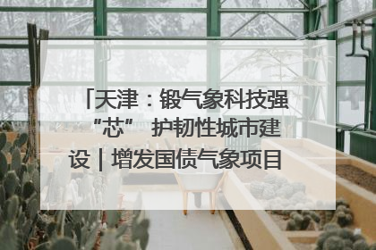 天津：锻气象科技强“芯” 护韧性城市建设｜增发国债气象项目落地见效系列报道