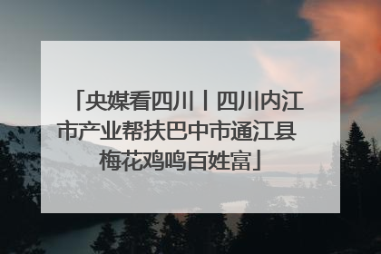 央媒看四川丨四川内江市产业帮扶巴中市通江县 梅花鸡鸣百姓富