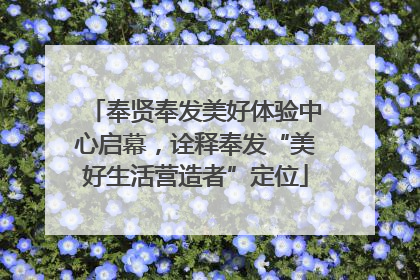 奉贤奉发美好体验中心启幕，诠释奉发“美好生活营造者”定位