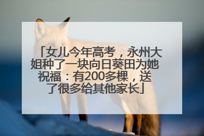 女儿今年高考，永州大姐种了一块向日葵田为她祝福：有200多棵，送了很多给其他家长