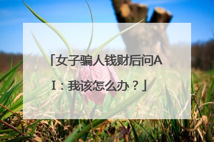 女子骗人钱财后问AI：我该怎么办？