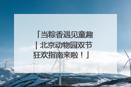当粽香遇见童趣｜北京动物园双节狂欢指南来啦！