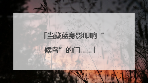 当藏蓝身影叩响“候鸟”的门……