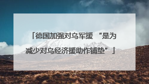 德国加强对乌军援 “是为减少对乌经济援助作铺垫”