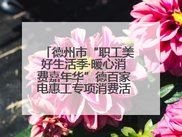 德州市“职工美好生活季·暖心消费嘉年华”德百家电惠工专项消费活动正式启动