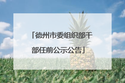 德州市委组织部干部任前公示公告
