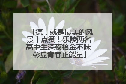 德，就是最美的风景丨点赞！乐陵两名高中生深夜拾金不昧 彰显青春正能量