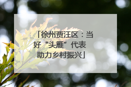 徐州贾汪区：当好“头雁”代表 助力乡村振兴