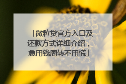 微粒贷官方入口及还款方式详细介绍，急用钱周转不用慌