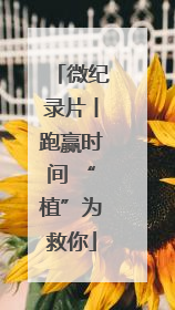 微纪录片丨跑赢时间 “植”为救你