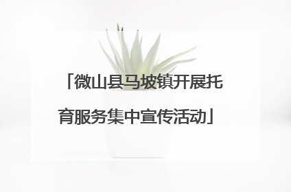 微山县马坡镇开展托育服务集中宣传活动