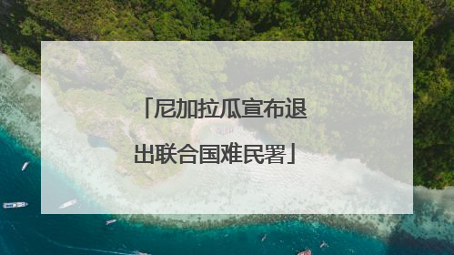 尼加拉瓜宣布退出联合国难民署