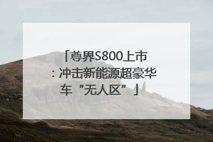 尊界S800上市：冲击新能源超豪华车“无人区”