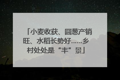 小麦收获、圆葱产销旺、水稻长势好……乡村处处是“丰”景