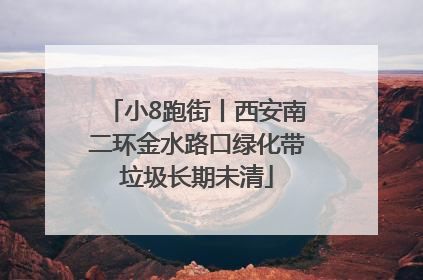 小8跑街丨西安南二环金水路口绿化带垃圾长期未清