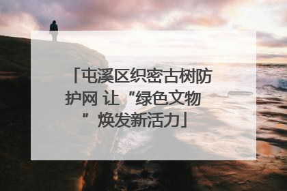 屯溪区织密古树防护网 让“绿色文物”焕发新活力