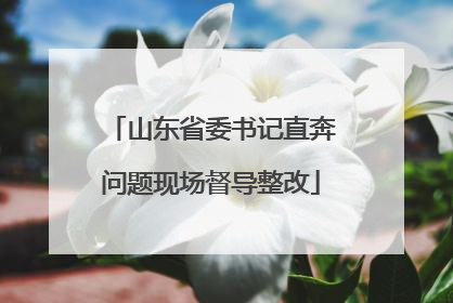 山东省委书记直奔问题现场督导整改