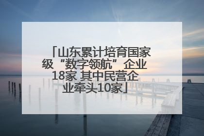 山东累计培育国家级“数字领航”企业18家 其中民营企业牵头10家