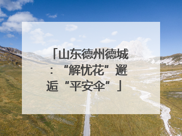山东德州德城：“解忧花”邂逅“平安伞”