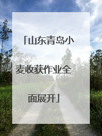 山东青岛小麦收获作业全面展开