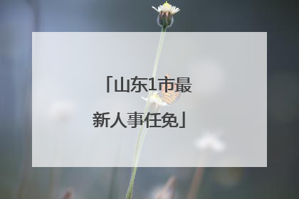 山东1市最新人事任免