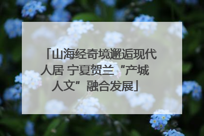 山海经奇境邂逅现代人居 宁夏贺兰“产城人文”融合发展
