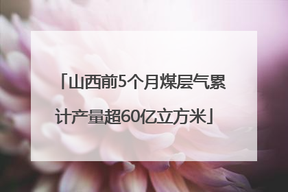 山西前5个月煤层气累计产量超60亿立方米