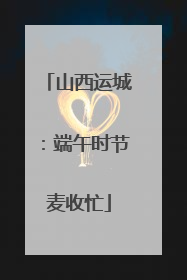 山西运城：端午时节麦收忙