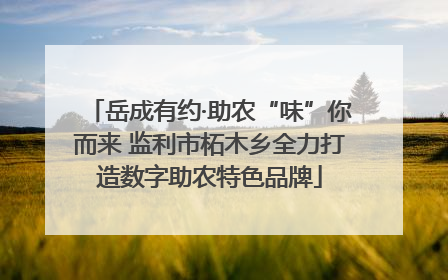 岳成有约·助农“味”你而来 监利市柘木乡全力打造数字助农特色品牌