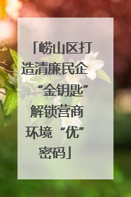 崂山区打造清廉民企“金钥匙” 解锁营商环境“优”密码