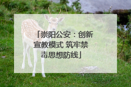 崇阳公安：创新宣教模式 筑牢禁毒思想防线