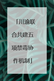 川渝联合共建五项禁毒协作机制