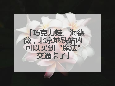 巧克力蛙、海德薇，北京地铁站内可以买到“魔法”交通卡了