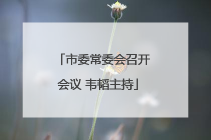 市委常委会召开会议 韦韬主持