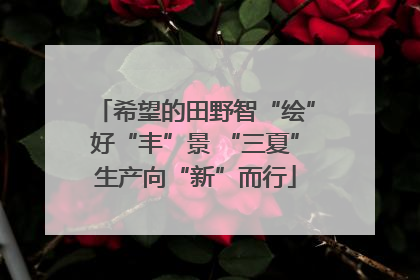希望的田野智“绘”好“丰”景 “三夏”生产向“新”而行