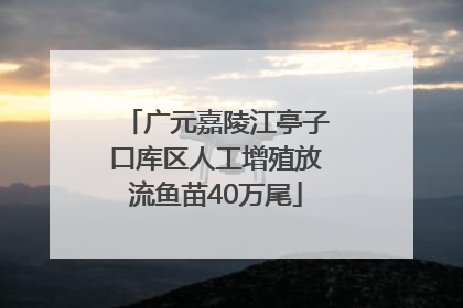 广元嘉陵江亭子口库区人工增殖放流鱼苗40万尾