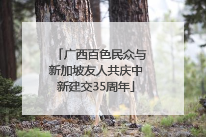 广西百色民众与新加坡友人共庆中新建交35周年