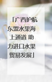 广西护航东盟水果海上通道 助力进口水果贸易发展