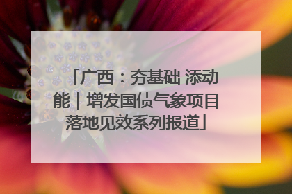 广西：夯基础 添动能｜增发国债气象项目落地见效系列报道