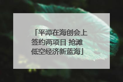平潭在海创会上签约两项目 抢滩低空经济新蓝海