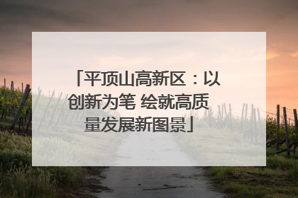 平顶山高新区：以创新为笔 绘就高质量发展新图景