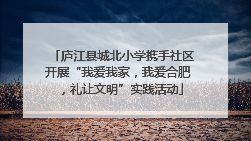 庐江县城北小学携手社区开展“我爱我家，我爱合肥，礼让文明”实践活动