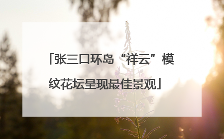 张三口环岛“祥云”模纹花坛呈现最佳景观