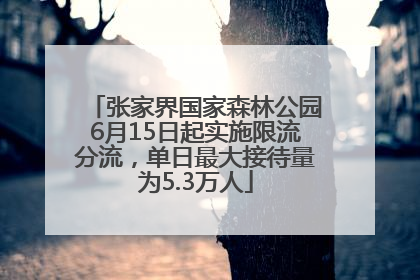 张家界国家森林公园6月15日起实施限流分流，单日最大接待量为5.3万人