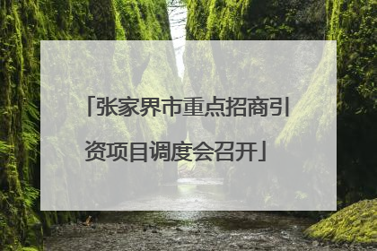 张家界市重点招商引资项目调度会召开